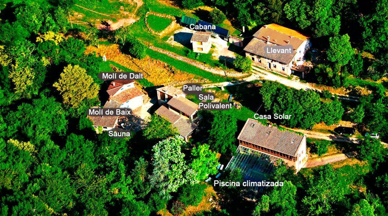 La Cabana Del Moli De La Plana Riudaura Exteriör bild