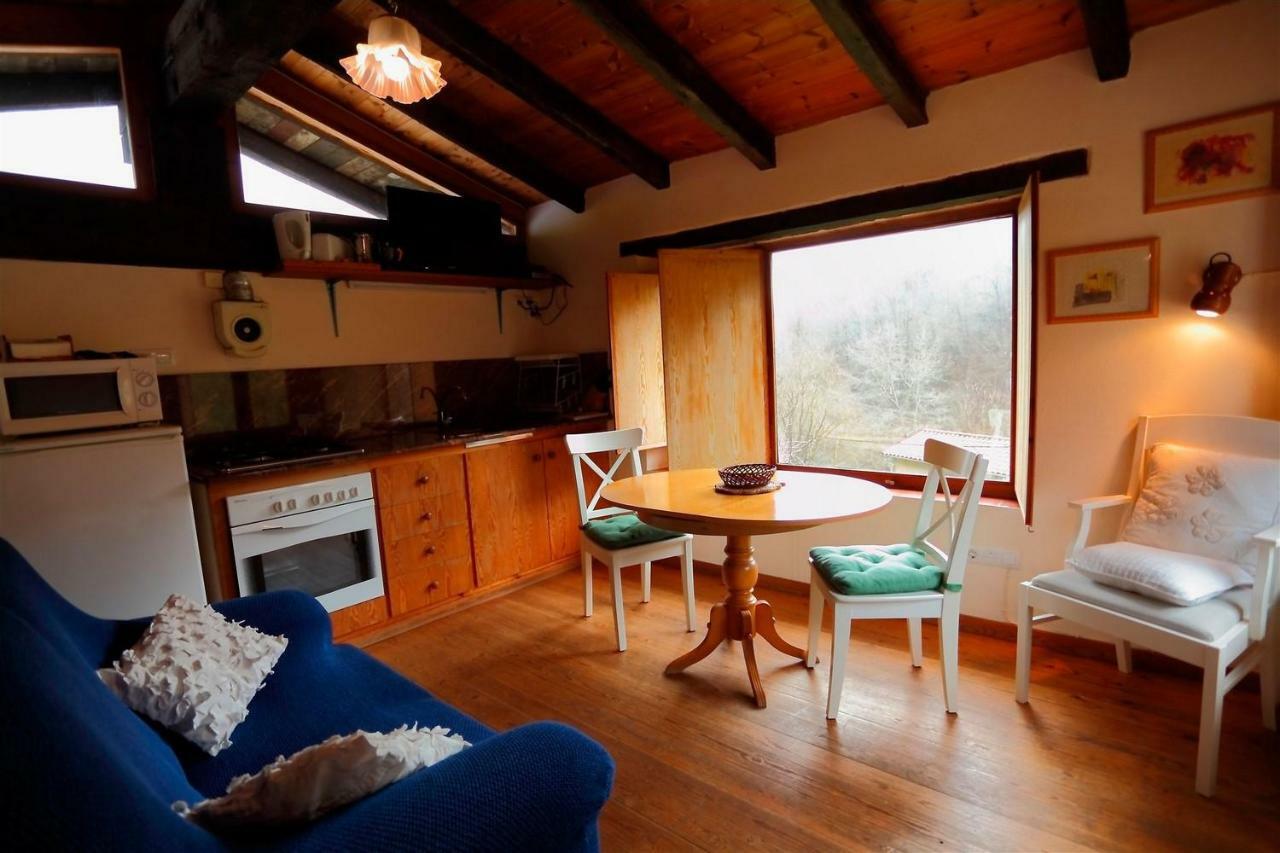 La Cabana Del Moli De La Plana Riudaura Exteriör bild