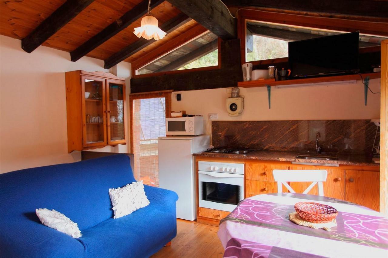 La Cabana Del Moli De La Plana Riudaura Exteriör bild
